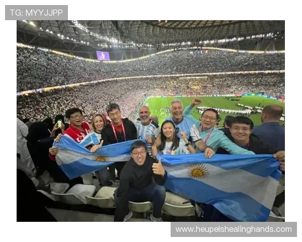 世界杯预选赛阶段各队主场的观众席分布赛